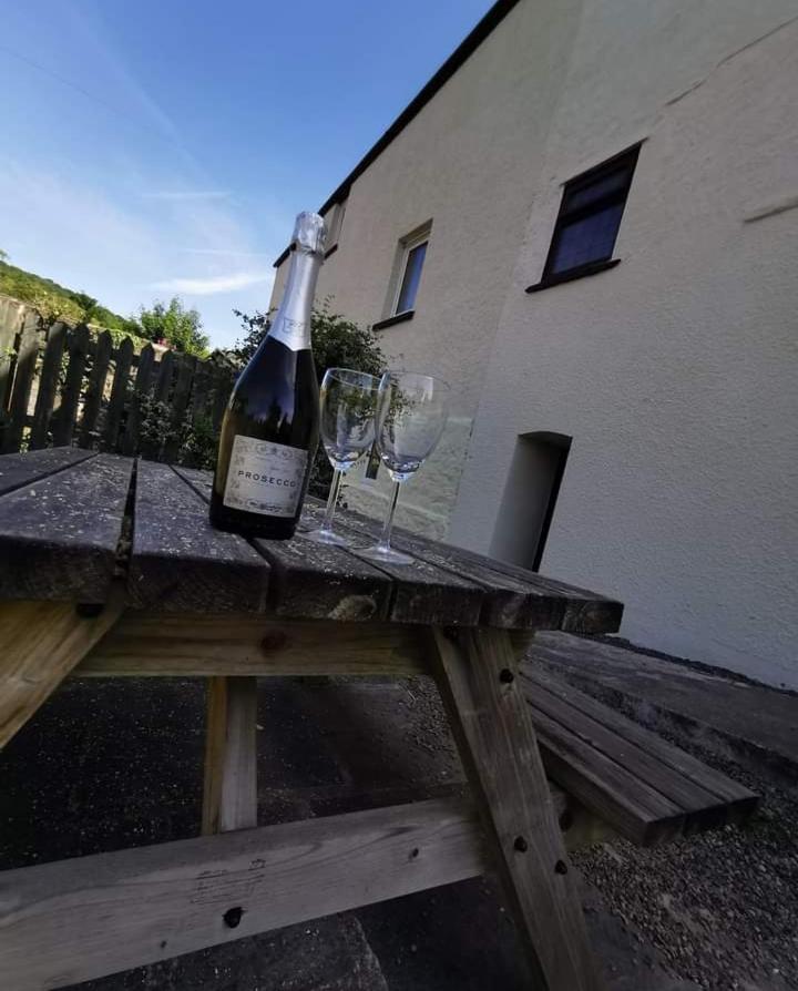 Glan-Yr-Afon Cottage Two Bedrooms Sennybridge Eksteriør billede